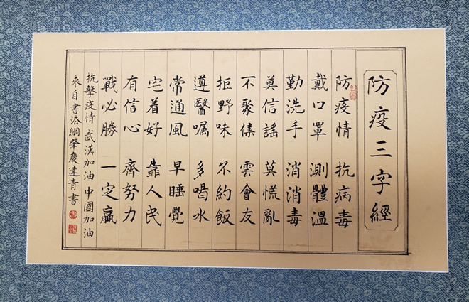 (2)作品七 肇庆市书法家协会:书法《抗疫三字经》(作者:蓝达青)