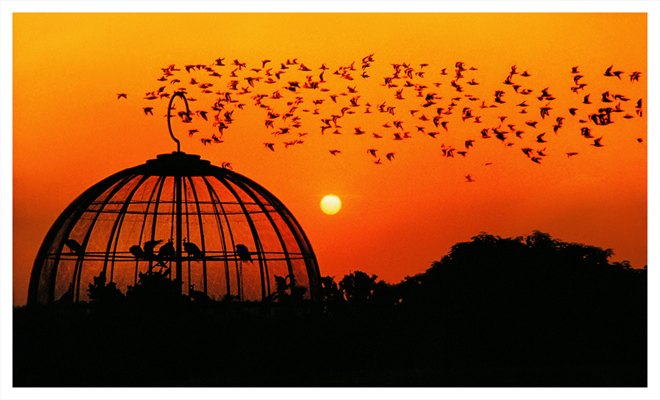 "艺术人生·三人行"廖衍强 蔡江瑶 黄汝广 摄影作品展