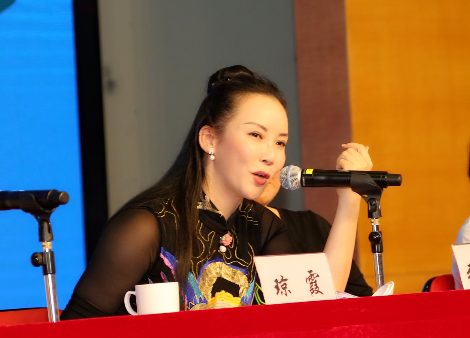 琼霞回答记者提问