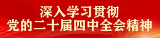深入学习贯彻党的二十届四中全会精神