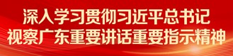 深入学习贯彻习近平总书记视察广东重要讲话重要指示精神